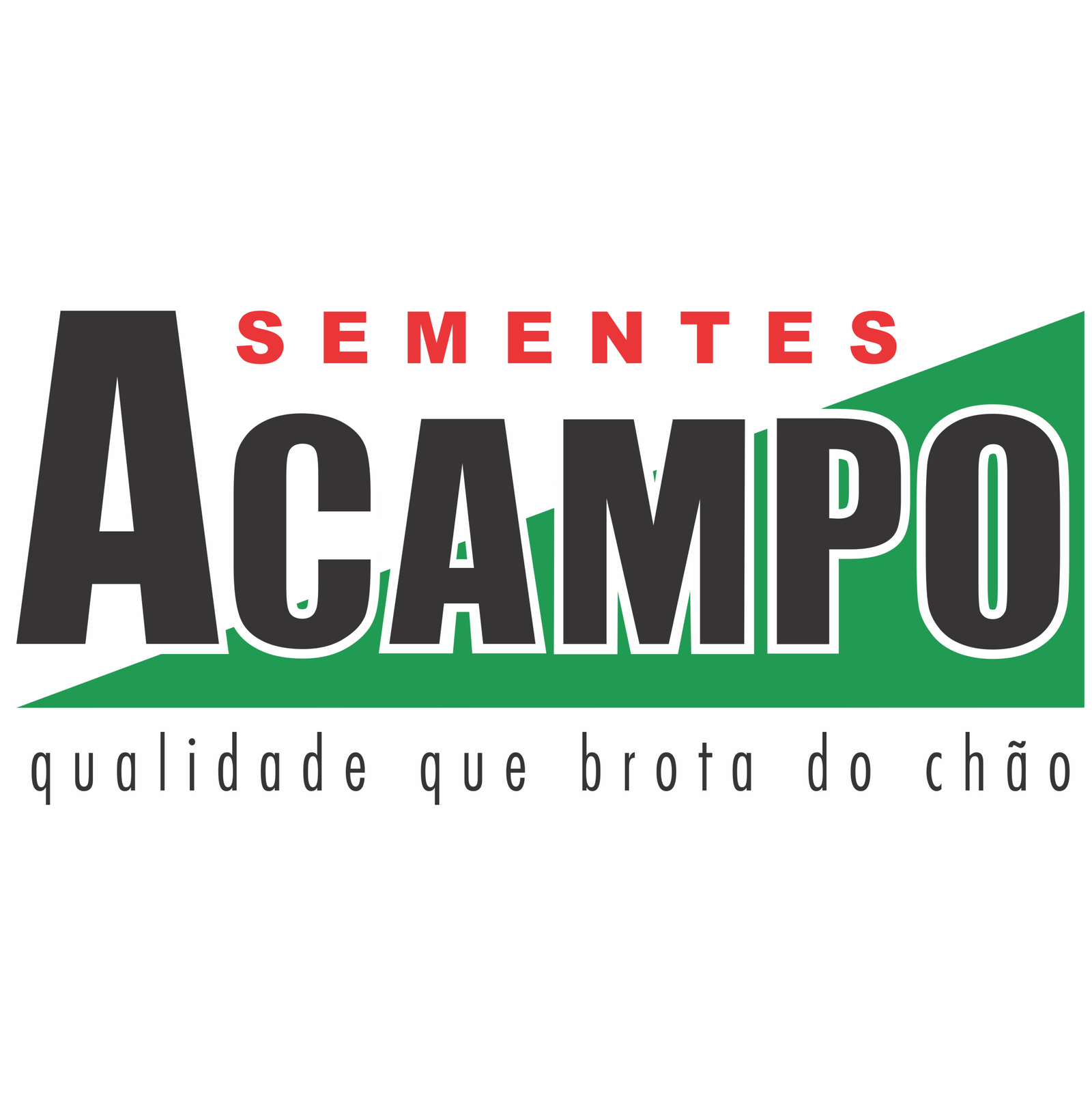 sementes-acampo